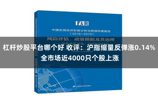 杠杆炒股平台哪个好 收评：沪指缩量反弹涨0.14% 全市场近4000只个股上涨