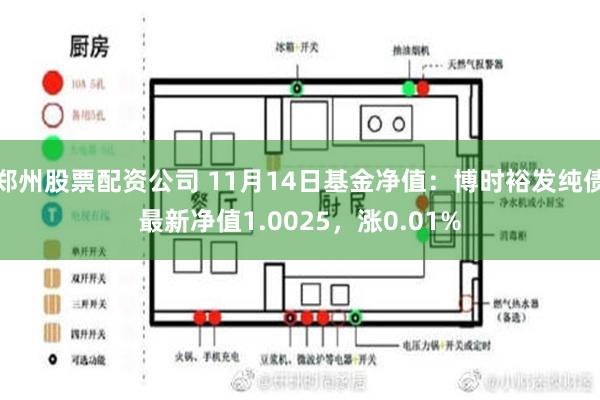 郑州股票配资公司 11月14日基金净值：博时裕发纯债最新净值1.0025，涨0.01%