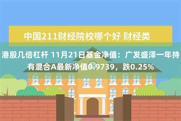 港股几倍杠杆 11月21日基金净值：广发盛泽一年持有混合A最新净值0.9739，跌0.25%