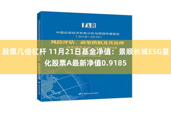 股票几倍杠杆 11月21日基金净值：景顺长城ESG量化股票A最新净值0.9185